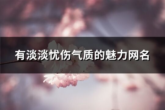 有淡淡忧伤气质的魅力网名(共257个)