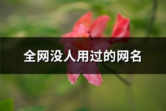 全网没人用过的网名(81个)