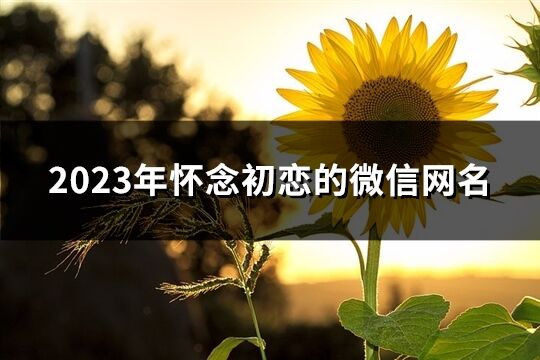 2023年怀念初恋的微信网名(共260个)