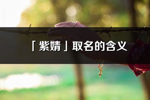 「紫婧」取名的含义