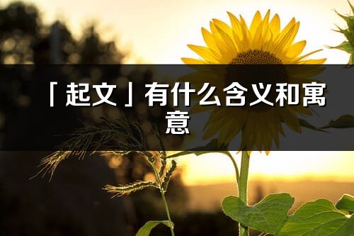 「起文」有什么含义和寓意