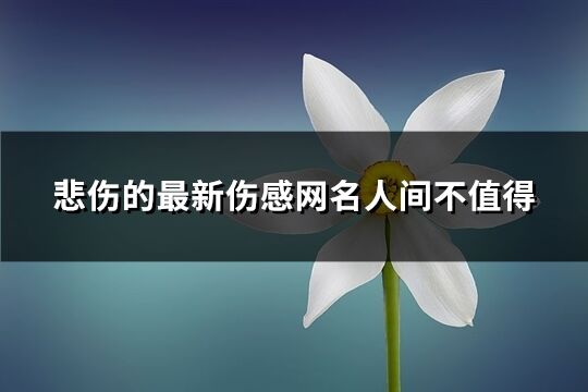 悲伤的最新伤感网名人间不值得(共609个)