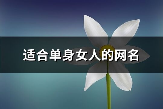 适合单身女人的网名(共650个)