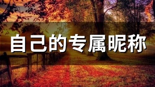 自己的专属昵称(95个)