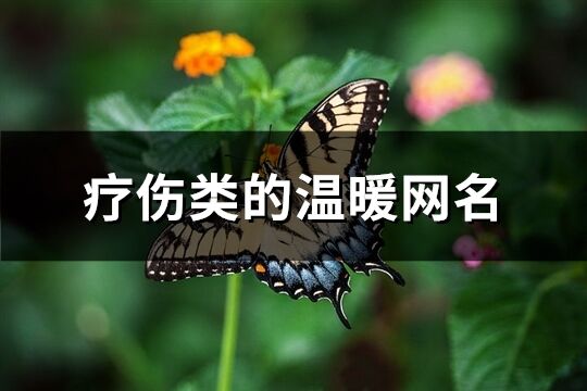 疗伤类的温暖网名(精选114个)