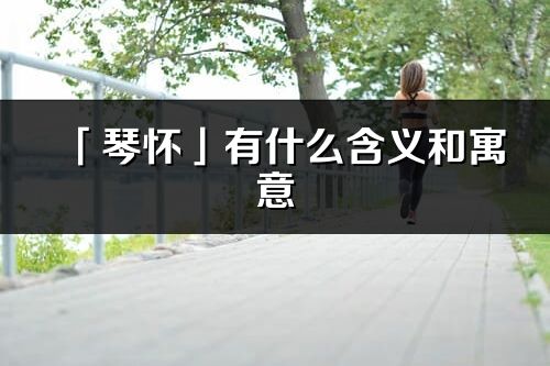 「琴怀」有什么含义和寓意