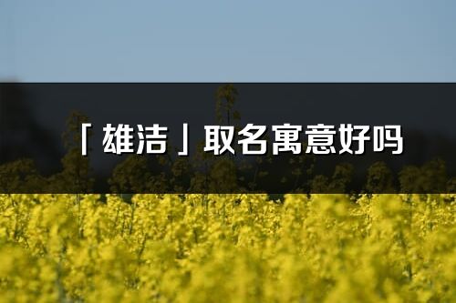 「雄洁」取名寓意好吗