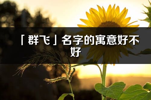 「群飞」名字的寓意好不好