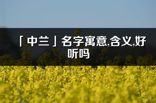 「中兰」名字寓意,含义,好听吗