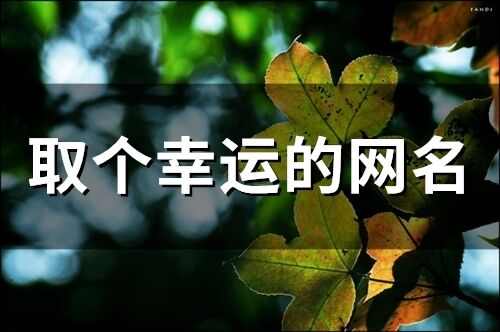 取个幸运的网名(146个)