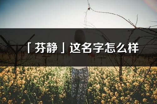 「芬静」这名字怎么样