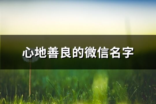 心地善良的微信名字(418个)