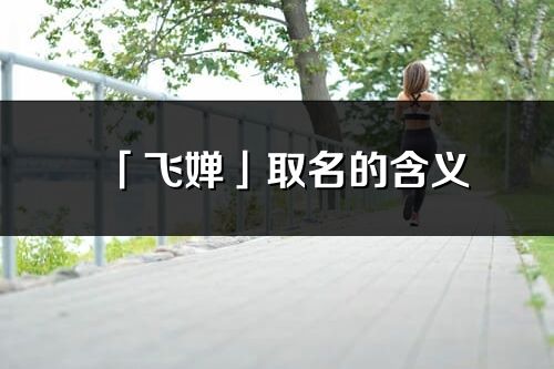 「飞婵」取名的含义