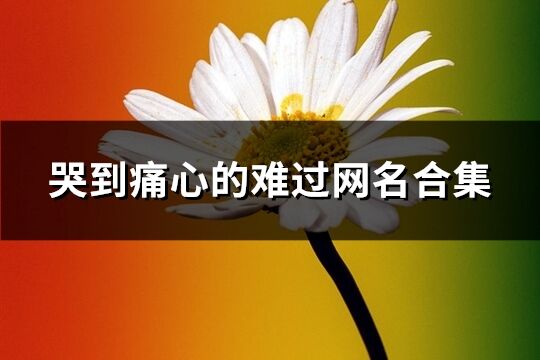 哭到痛心的难过网名合集(共382个)