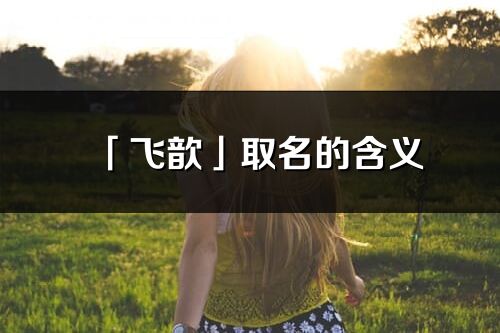 「飞歆」取名的含义