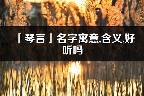 「琴言」名字寓意,含义,好听吗