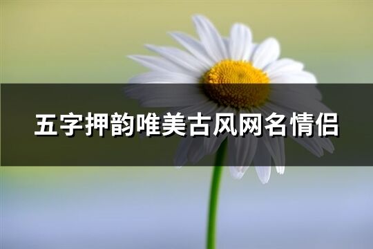 五字押韵唯美古风网名情侣(共184个)