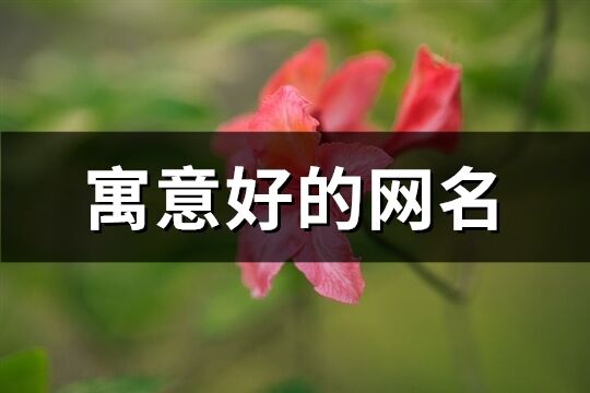 寓意好的网名(共180个)