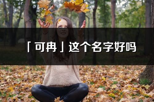 「可冉」这个名字好吗