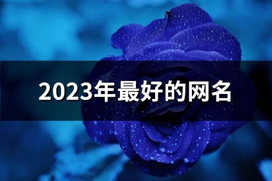 2023年最好的网名(共1399个)