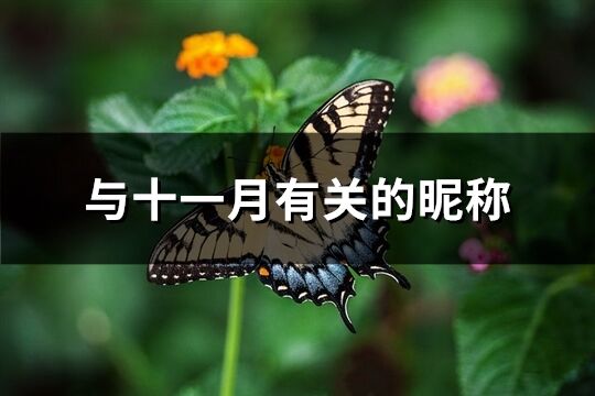 与十一月有关的昵称(共91个)