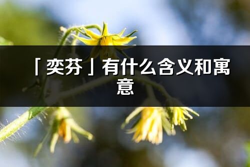 「奕芬」有什么含义和寓意