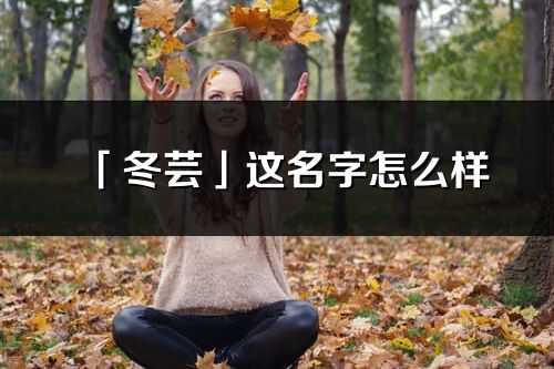 「冬芸」这名字怎么样