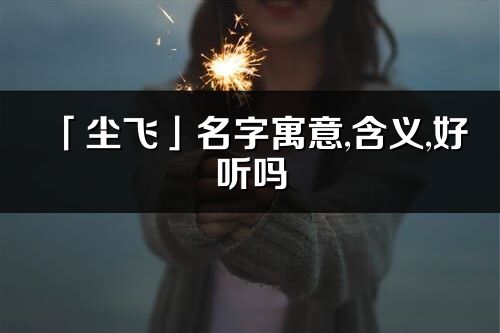 「尘飞」名字寓意,含义,好听吗