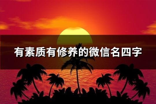 有素质有修养的微信名四字(共60个)