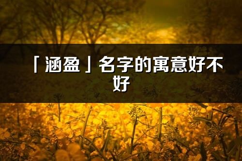 「涵盈」名字的寓意好不好