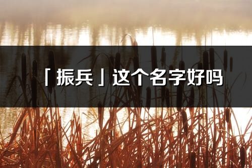 「振兵」这个名字好吗