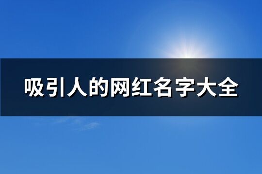 吸引人的网红名字大全(共105个)