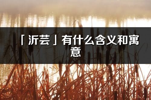 「沂芸」有什么含义和寓意