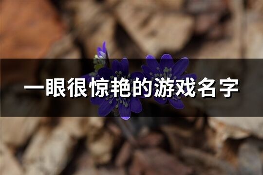 一眼很惊艳的游戏名字(共552个)