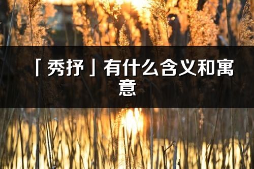 「秀抒」有什么含义和寓意