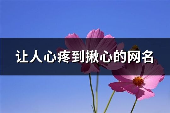 让人心疼到揪心的网名(共664个)