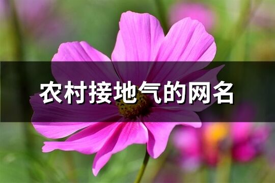 农村接地气的网名(共447个)