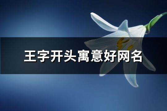 王字开头寓意好网名(160个)