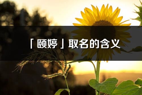 「颐婷」取名的含义