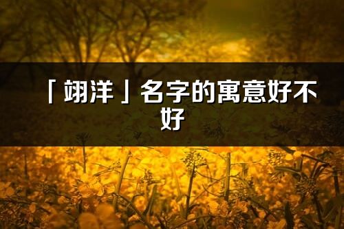 「翊洋」名字的寓意好不好