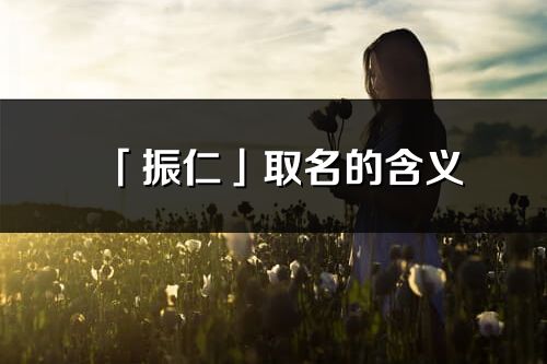 「振仁」取名的含义