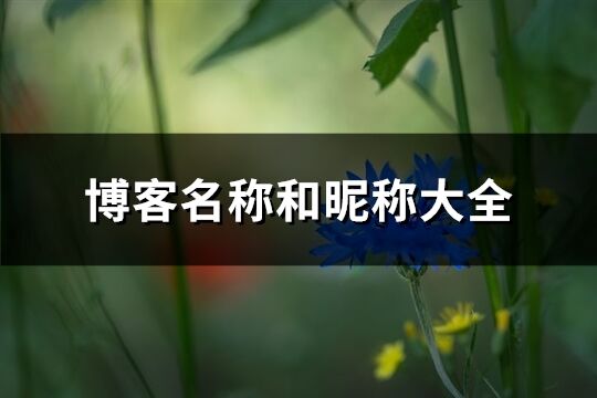 博客名称和昵称大全(共586个)