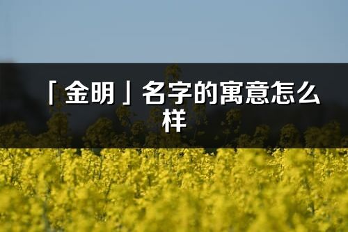 「金明」名字的寓意怎么样