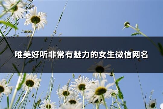 唯美好听非常有魅力的女生微信网名(共378个)