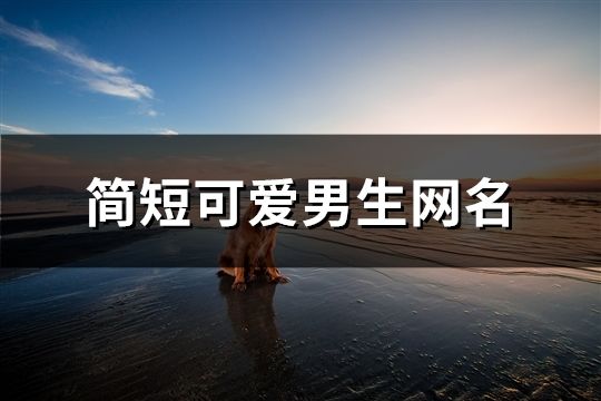 简短可爱男生网名(精选77个)