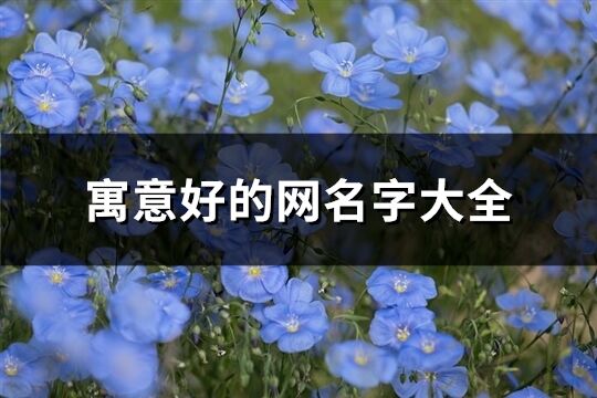 寓意好的网名字大全(共119个)