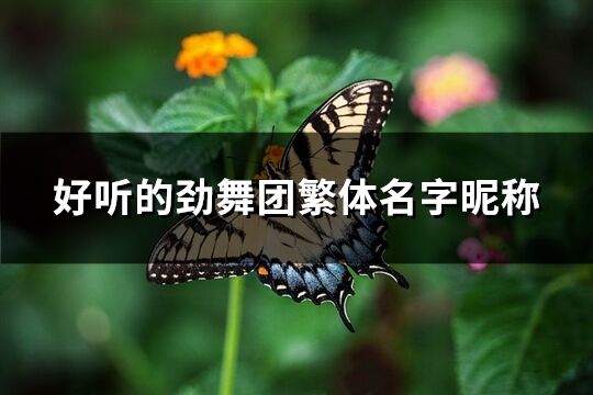 好听的劲舞团繁体名字昵称(精选61个)