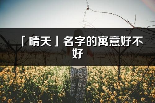 「晴天」名字的寓意好不好