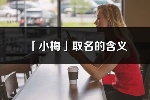 「小梅」取名的含义