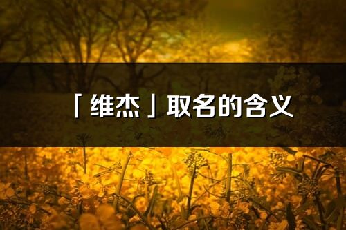 「维杰」取名的含义